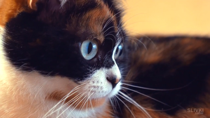 Как сделать Нутеллу смотреть онлайн