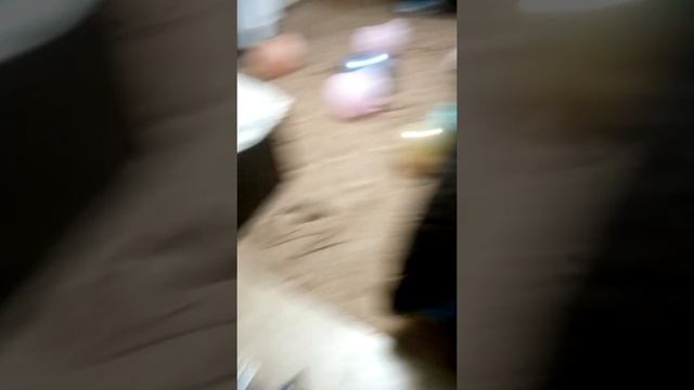 Мне подарили самокат смотреть онлайн