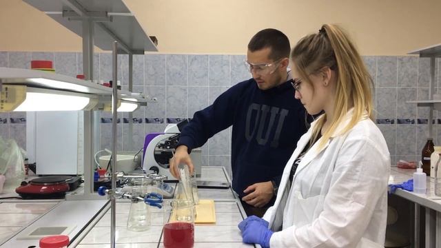 Получаем антоцианы из рябины, природные индикаторы смотреть онлайн