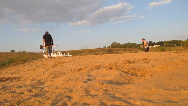 ПОИСК ЗОЛОТА НА ПЛЯЖЕ С МЕТАЛЛОИСКАТЕЛЕМ. ЗОЛОТОЙ ПЕРСТЕНЬ смотреть онлайн