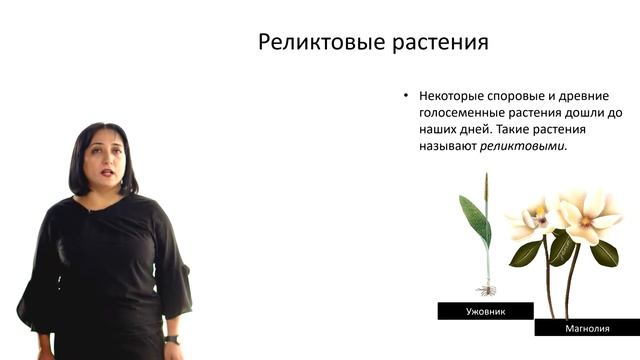 "История развития растений на Земле" смотреть онлайн