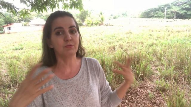 SÍTIO PEQUENO DÁ PRA GANHAR DINHEIRO?? COMO EU GANHO DINHEIRO E QUANTO EU GANHO... смотреть онлайн