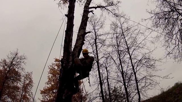 Группа 55.Снимаем кошку с дерева. смотреть онлайн