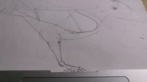 рисование птицы