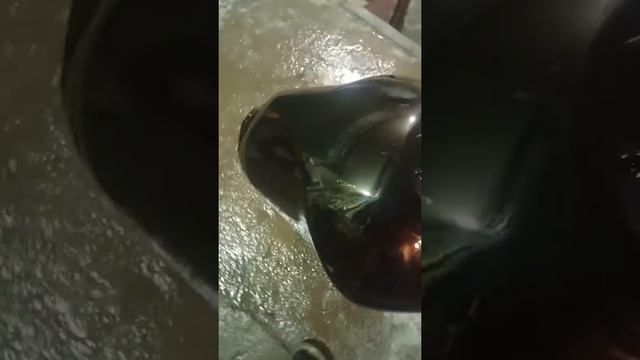 Сузуки бандит смотреть онлайн
