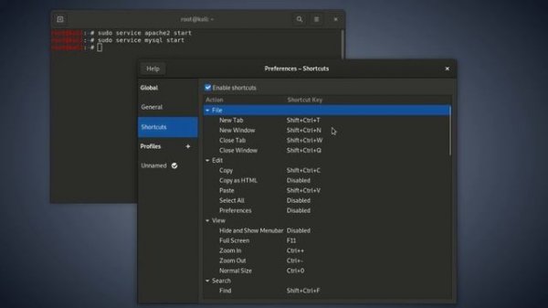 Kali Linux how to turn terminal from white to black