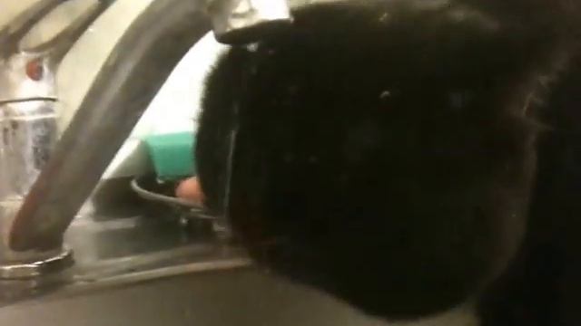 9 марта, утро! все мужики и не только... смотришь и легче смотреть онлайн