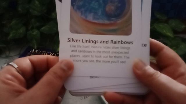 The Life Navigator Deck || Oracle cards ☯️ смотреть онлайн