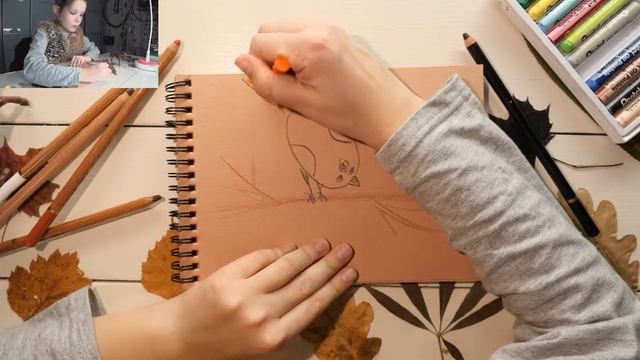 Рисуем птичку на ветке. Зяблик. смотреть онлайн
