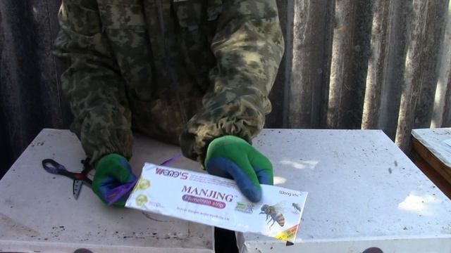 Устанавливаю полоски от клеща Варроа.Installing strips from the Varroa mite смотреть онлайн