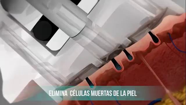 BYM PROFACIAL смотреть онлайн