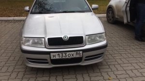 ДХО +поворотники  Skoda Octavia
