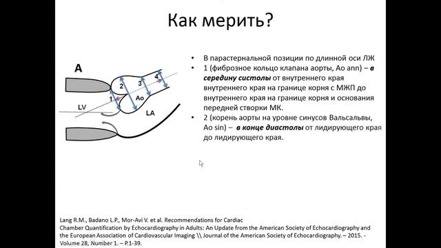 Основы ЭхоКГ исследование аортального клапана смотреть онлайн
