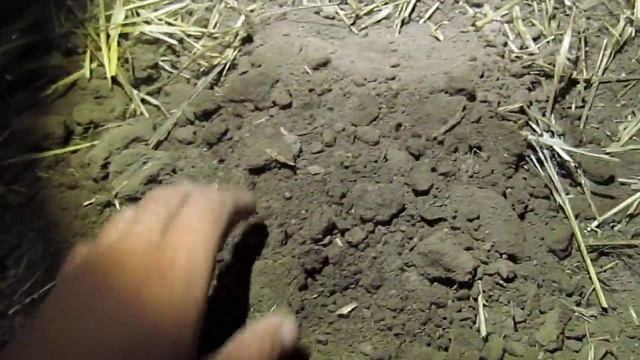 КОП МОНЕТ | ПОИСК МОНЕТ | ПОИСК КЛАДА 2019.07.28 Коп ЗОЛОТАЯ ОРДА пос. Красное. смотреть онлайн