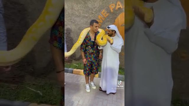 СУБУ УКУСИЛ ПИТОН. ШОК. СУБО БОИТСЯ ЗМЕЙ! смотреть онлайн