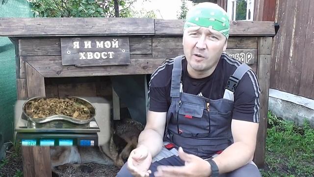 Можно ли собаке кости?! смотреть онлайн