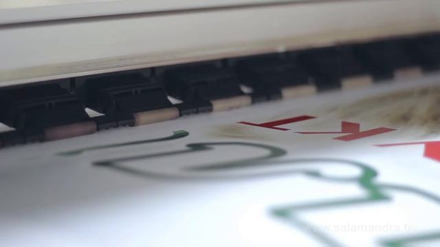 Широкоформатная печать в Минске - Саламандра Плюс смотреть онлайн