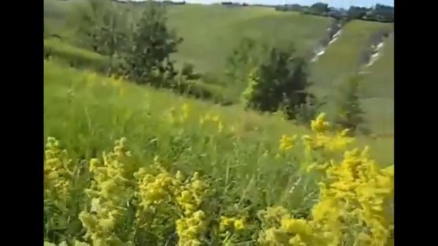 Отгремела гроза смотреть онлайн