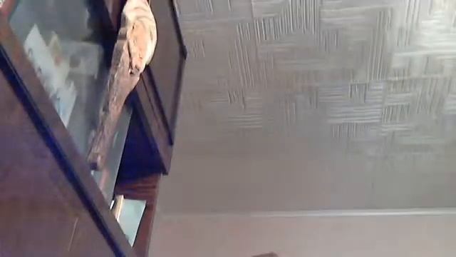 Видео с веб-камеры. Дата: 22 октября 2013 г., 19:18.