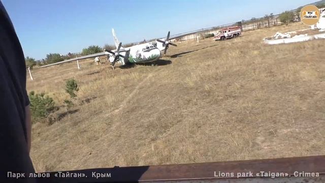 Малыш в гостях у королей карьеров и пилота самолета. Львы. Тайган. Lions Chronicles In Taigan.
