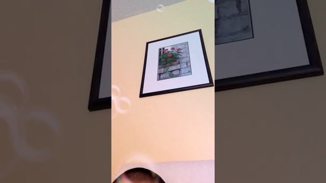 Bruh ROBLOX is ￼ смотреть онлайн