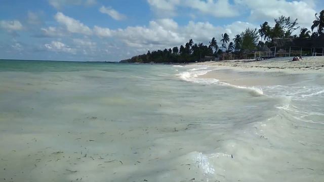 Пвани-Мчангани.Занзибар.Риф,пальмы,отливы-приливы.Нашли ежа! смотреть онлайн