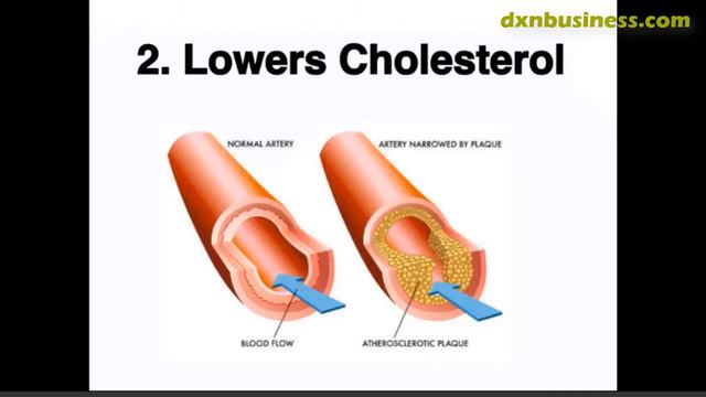 DXN NONIZHI HELPS LOWER BAD CHOLESTROL (ENGLISH) смотреть онлайн