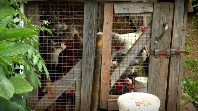 Аграрии могут получить ещё больше услуг через МФЦ смотреть онлайн