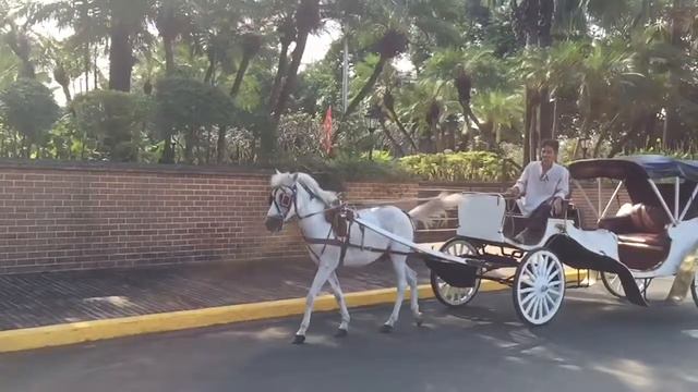 Манила/ Manila. Intramural. Fillipines