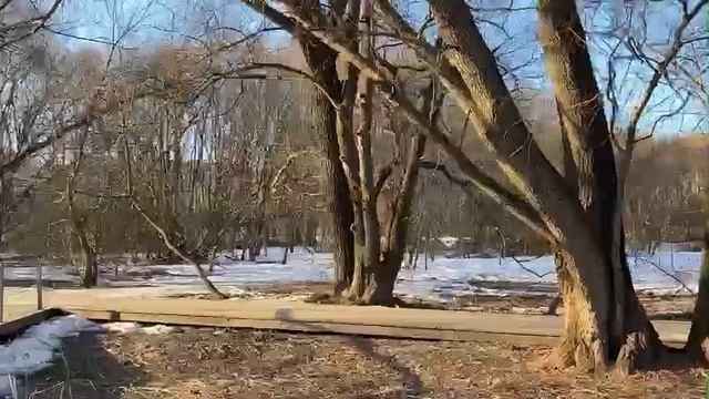 Гуляю. Болтаю. Делаю хорошую маму и бабушку. Платформа ЯRus смотреть онлайн