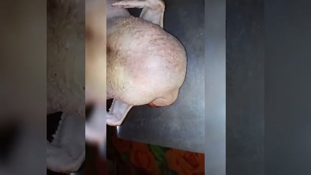 Как опалить тушку бройлера в домашних условиях. смотреть онлайн