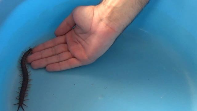 Женская мода и стиль для торжеств