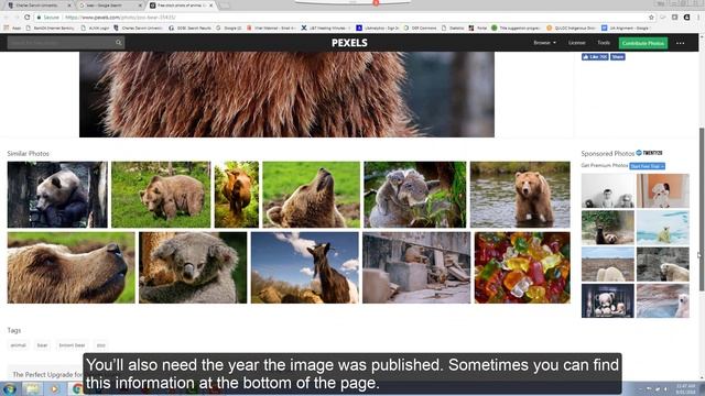 Using and referencing images in APA смотреть онлайн