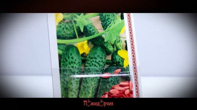 Семена Огурец Кустовой F1 инкрустированные - Помидорчик смотреть онлайн
