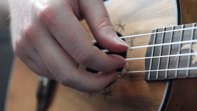 Ortega Concert size Lizard Ukulele Demo LIZARD-CC-GB смотреть онлайн