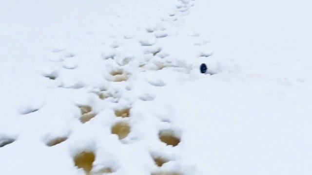 #1За щукой на малую реку#рыбалка#рыба#охота смотреть онлайн