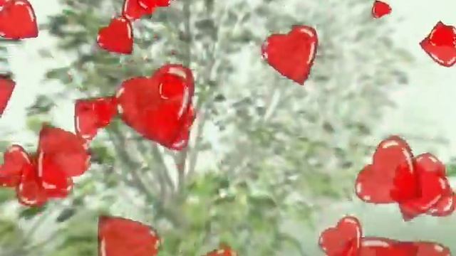 Футаж лес и падающие сердца смотреть онлайн