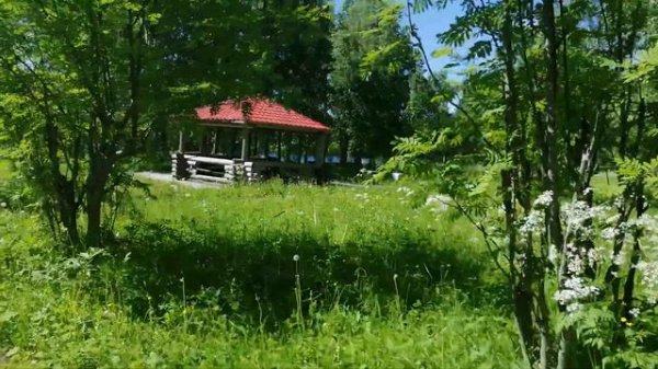 Приехал в мой город мирный красота