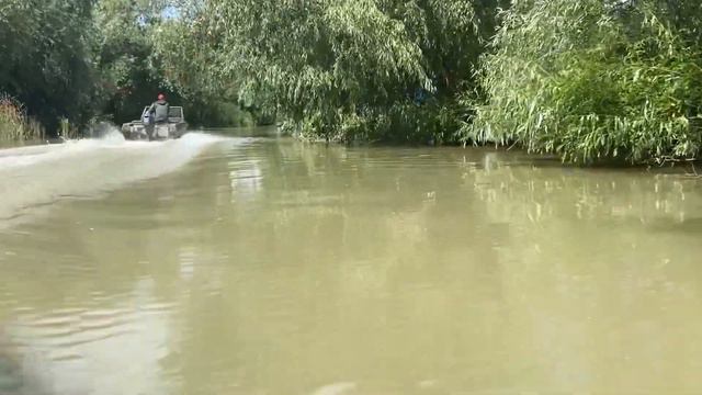 Поездка по Дунаю 🌊. Чуть не уронила телефон 😱 смотреть онлайн