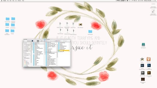 Tutorial: How to Install Presets into Adobe Camera Raw (ACR) смотреть онлайн