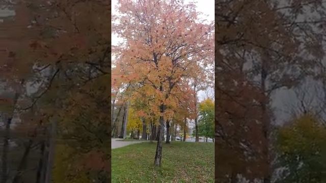 "Рябина и калина" поет песню Татьяна Козловская смотреть онлайн