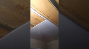 потолок из сайдинг панелей