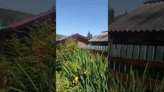 Отдых на базе удача горно алтайск смотреть онлайн