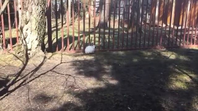 Ресторан Калужская Застава смотреть онлайн