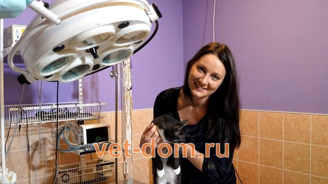 АП реклама 2016 01 3840 смотреть онлайн