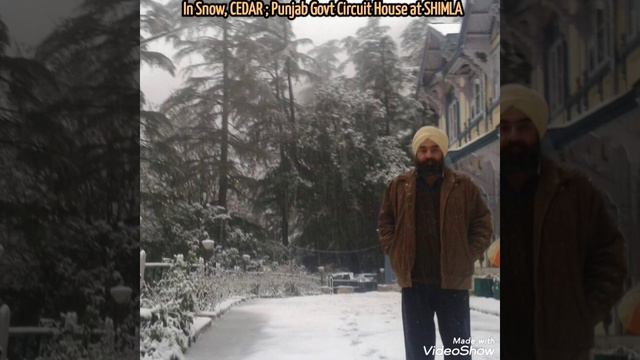 In Snow,CEDAR Punjab Govt Circuit House at Shimla смотреть онлайн