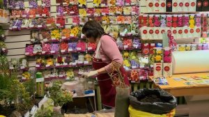 Как сохранить купленную розу в коробке до посадки.