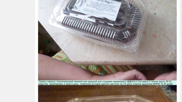 Семена. Адениум Obesum Adenium. Набор ЦВЕТНАЯ НЕЖНОСТЬ. 12 семян.