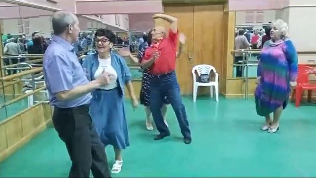 Белые розы..... 19.11.23.