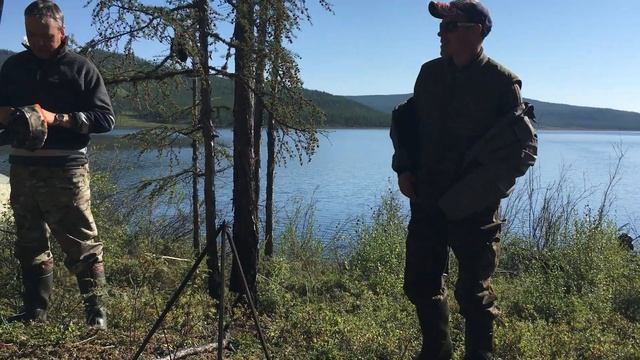Рыбалка в Забайкалье. Ловля окуня. Утренний клев окуня. смотреть онлайн